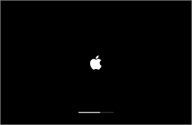 Loading screen is stuck.