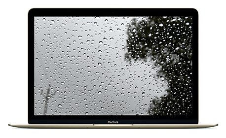 Liquid/Water Damage